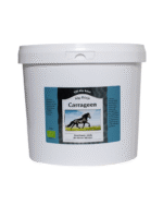 Alg-Börjes Carrageen häst EKO